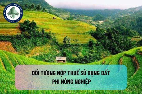 Đối tượng nộp thuế sử dụng đất phi nông nghiệp? Cách tính thuế sử dụng đất phi nông nghiệp?