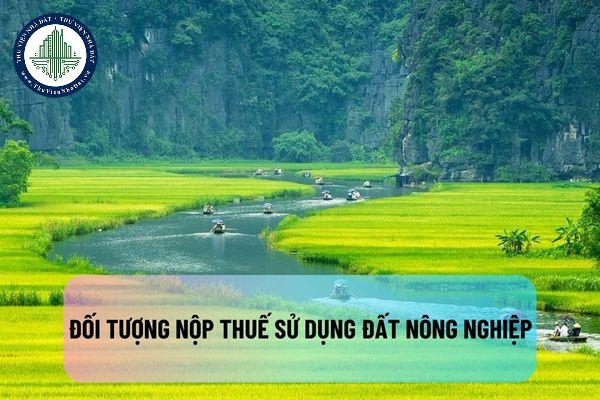 Đối tượng nộp thuế sử dụng đất nông nghiệp? Cách tính thuế sử dụng đất nông nghiệp ra sao?