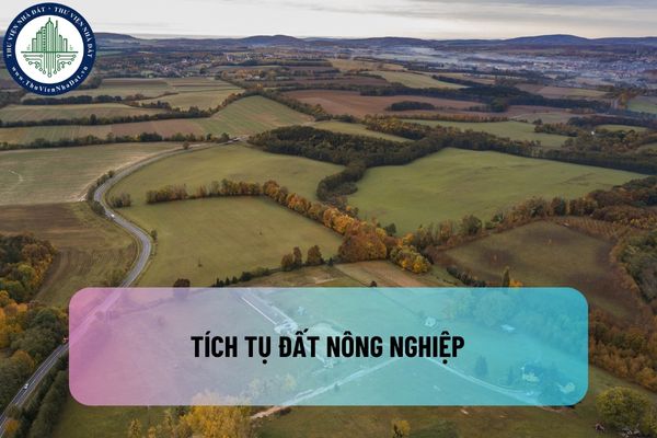 Tích tụ đất nông nghiệp là gì? Người dân có được nhận góp vốn để tích tụ đất nông nghiệp không?