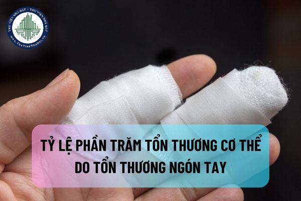 thuviennhadat.vn