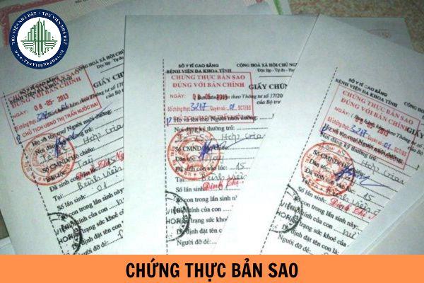 thuviennhadat.vn