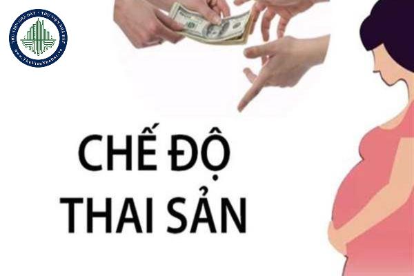 thuviennhadat.vn