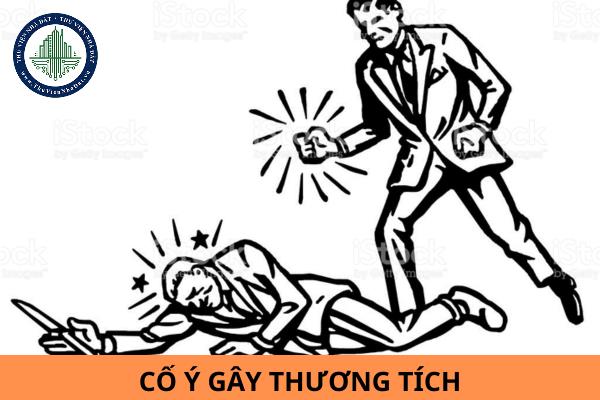thuviennhadat.vn