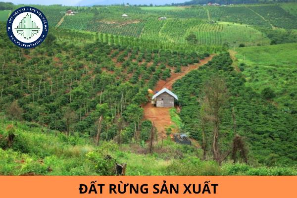 thuviennhadat.vn