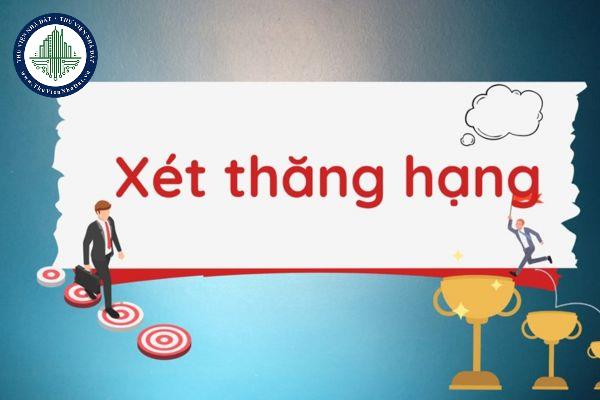 thuviennhadat.vn