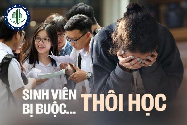 thuviennhadat.vn