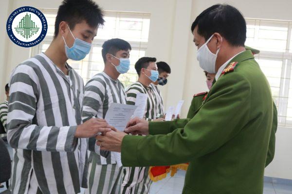 thuviennhadat.vn