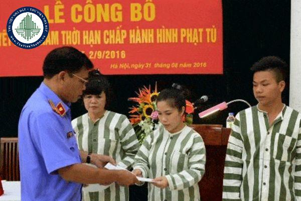 thuviennhadat.vn
