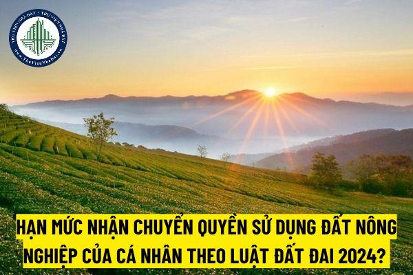 thuviennhadat.vn