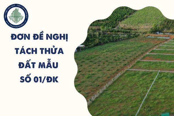 Cách viết đơn đề nghị tách thửa đất Mẫu số 01/ĐK theo Luật đất đai 2024