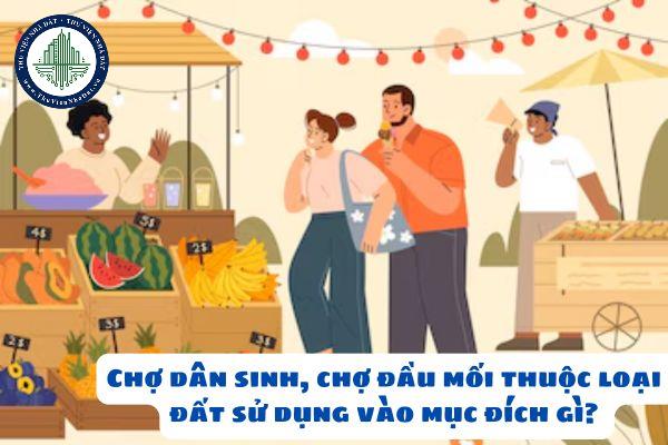 thuviennhadat.vn