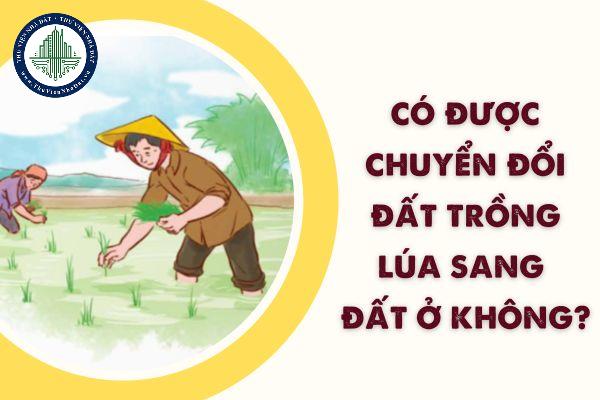 Có được chuyển đổi đất trồng lúa sang đất ở không? 