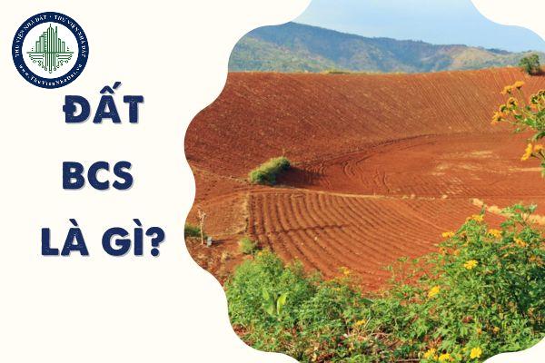 Đất BCS là gì? Đất BCS thuộc nhóm đất nào? Quản lý và đưa đất chưa sử dụng vào sử dụng như thế nào?