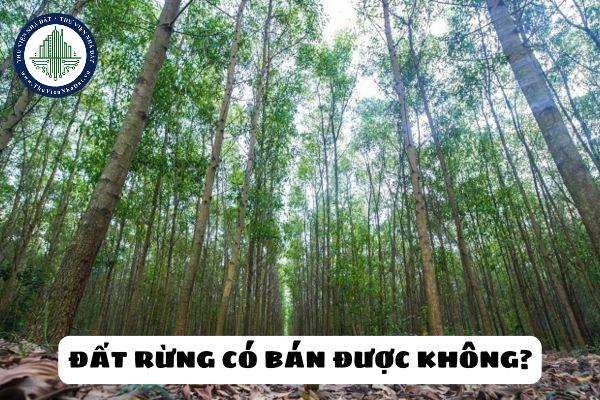 Có được bán đất rừng sản xuất được không? Có phải nộp thuế thu nhập cá nhân từ việc chuyển đổi quyền sử dụng đất rừng sản xuất không?