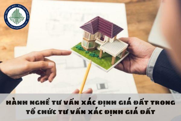 Cá nhân có được hành nghề tư vấn xác định giá đất trong tổ chức tư vấn xác định giá đất khi có bằng tốt nghiệp đại học chuyên ngành quản lý tài chính không?