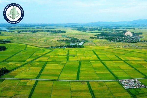 thuviennhadat.vn