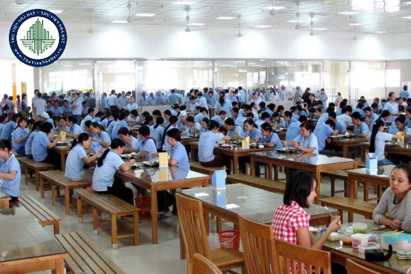 thuviennhadat.vn
