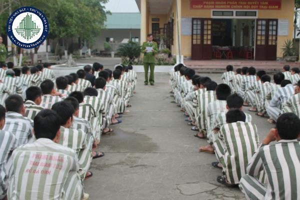 thuviennhadat.vn