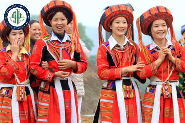 thuviennhadat.vn