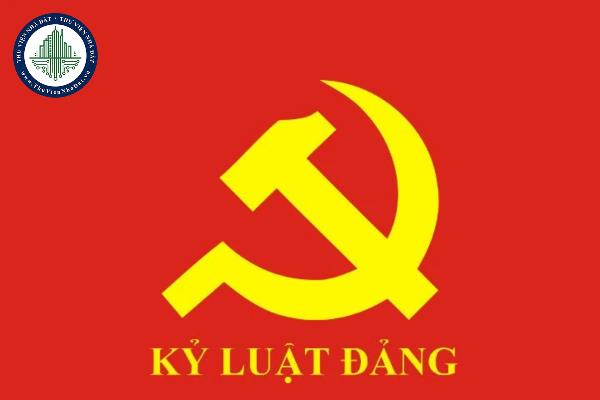 thuviennhadat.vn