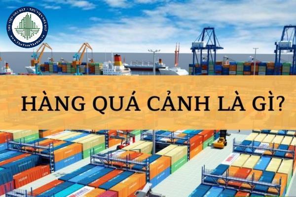 thuviennhadat.vn