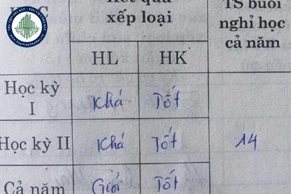 thuviennhadat.vn