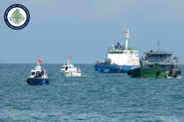 thuviennhadat.vn
