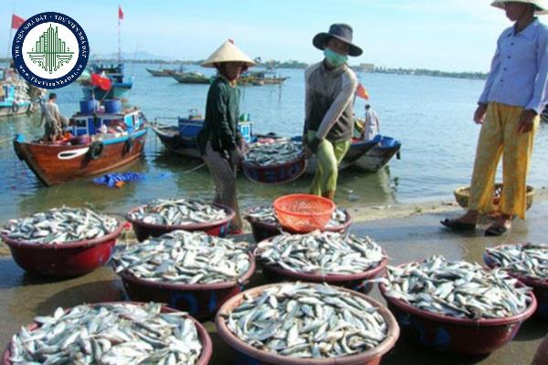 thuviennhadat.vn