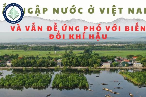 thuviennhadat.vn