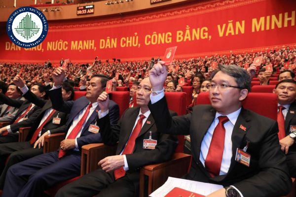 thuviennhadat.vn