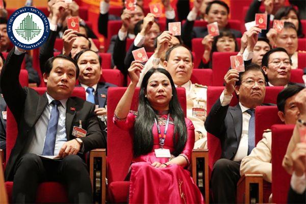thuviennhadat.vn
