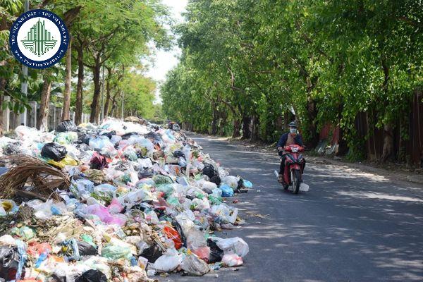 thuviennhadat.vn