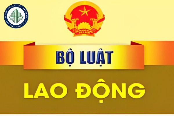 thuviennhadat.vn
