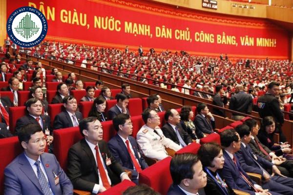thuviennhadat.vn
