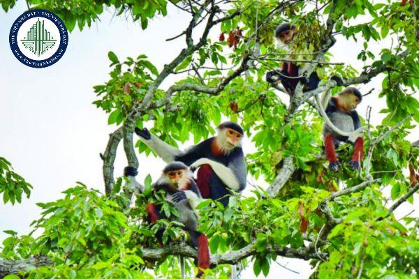 thuviennhadat.vn