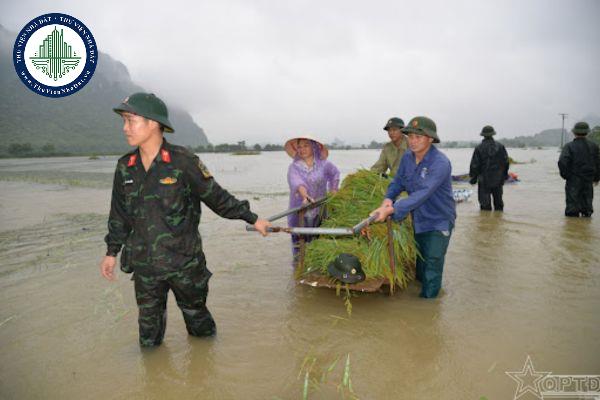 thuviennhadat.vn
