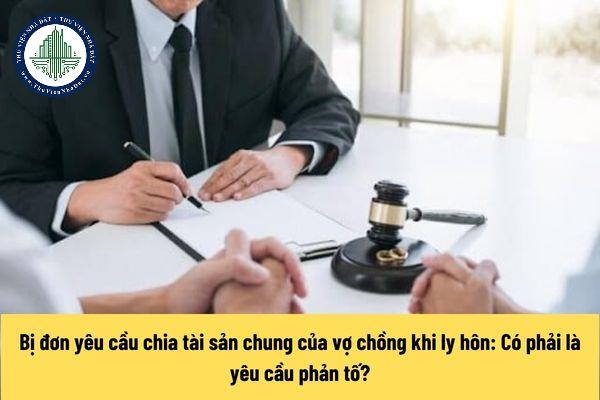 Yêu cầu phản tố là gì (Hình từ Internet)