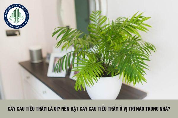 thuviennhadat.vn