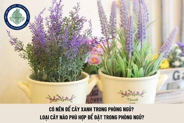 thuviennhadat.vn