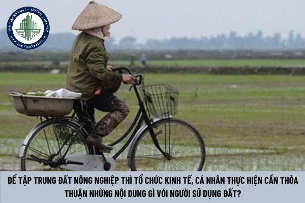 Để tập trung đất nông nghiệp thì tổ chức kinh tế, cá nhân thực hiện cần thỏa thuận những nội dung gì với người sử dụng đất? 