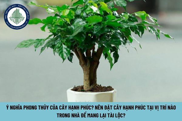 thuviennhadat.vn