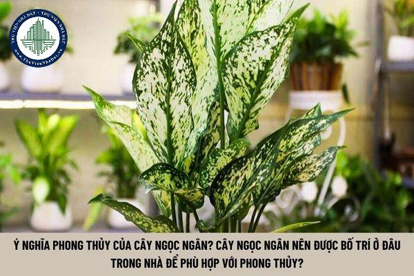 thuviennhadat.vn