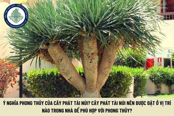 thuviennhadat.vn