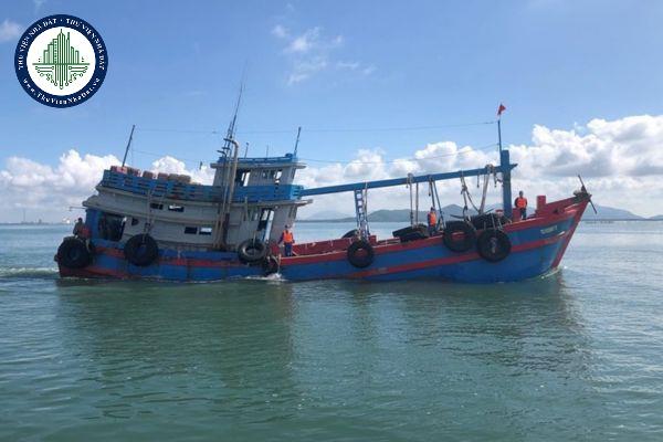 thuviennhadat.vn