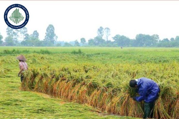 thuviennhadat.vn