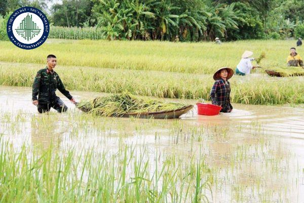thuviennhadat.vn