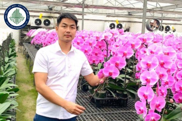 thuviennhadat.vn