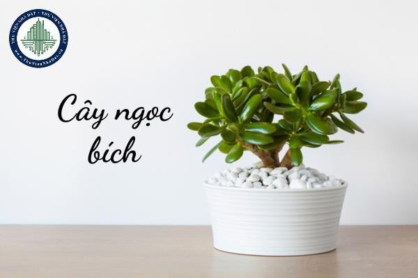 thuviennhadat.vn