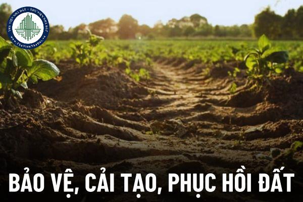 thuviennhadat.vn
