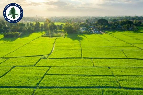 Chuyển nhượng quyền sử dụng đất là gì? Nhận chuyển nhượng quyền sử dụng đất có phụ thuộc vào nơi cư trú không?